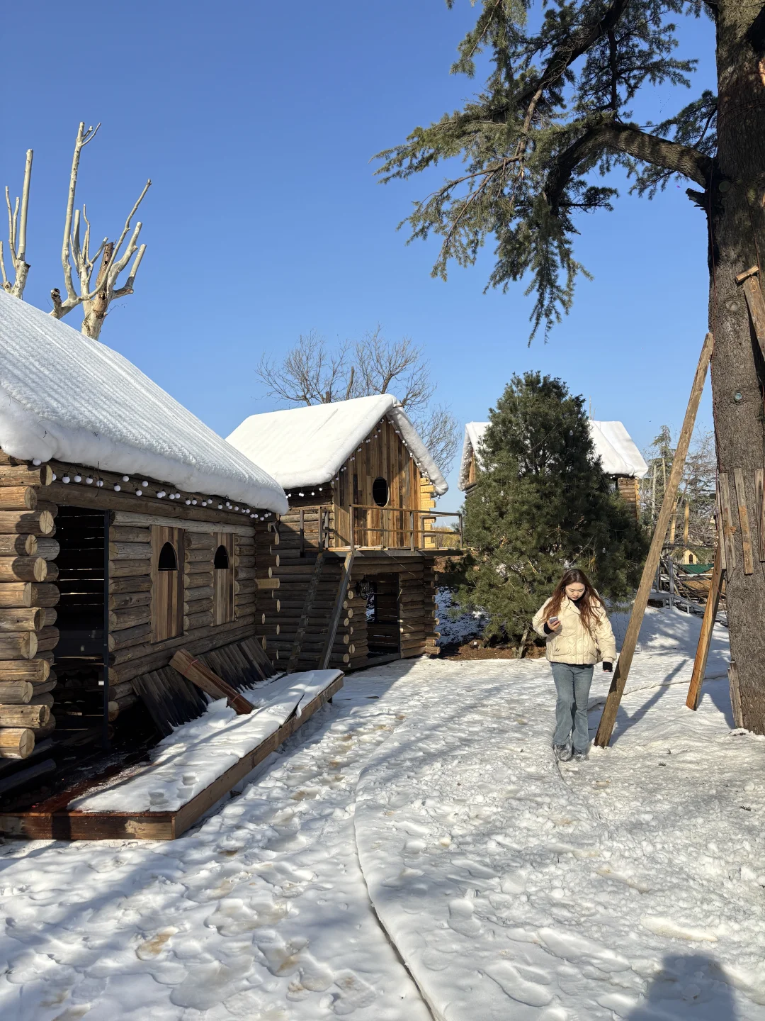我在徐州雪乡和内蒙狼王合影了