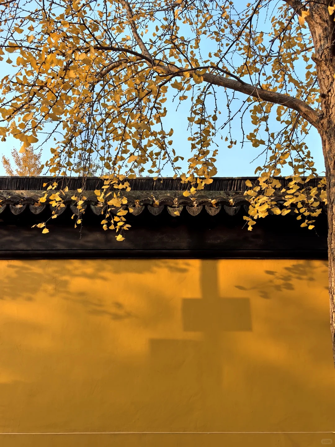 蘇州 下次还来！！