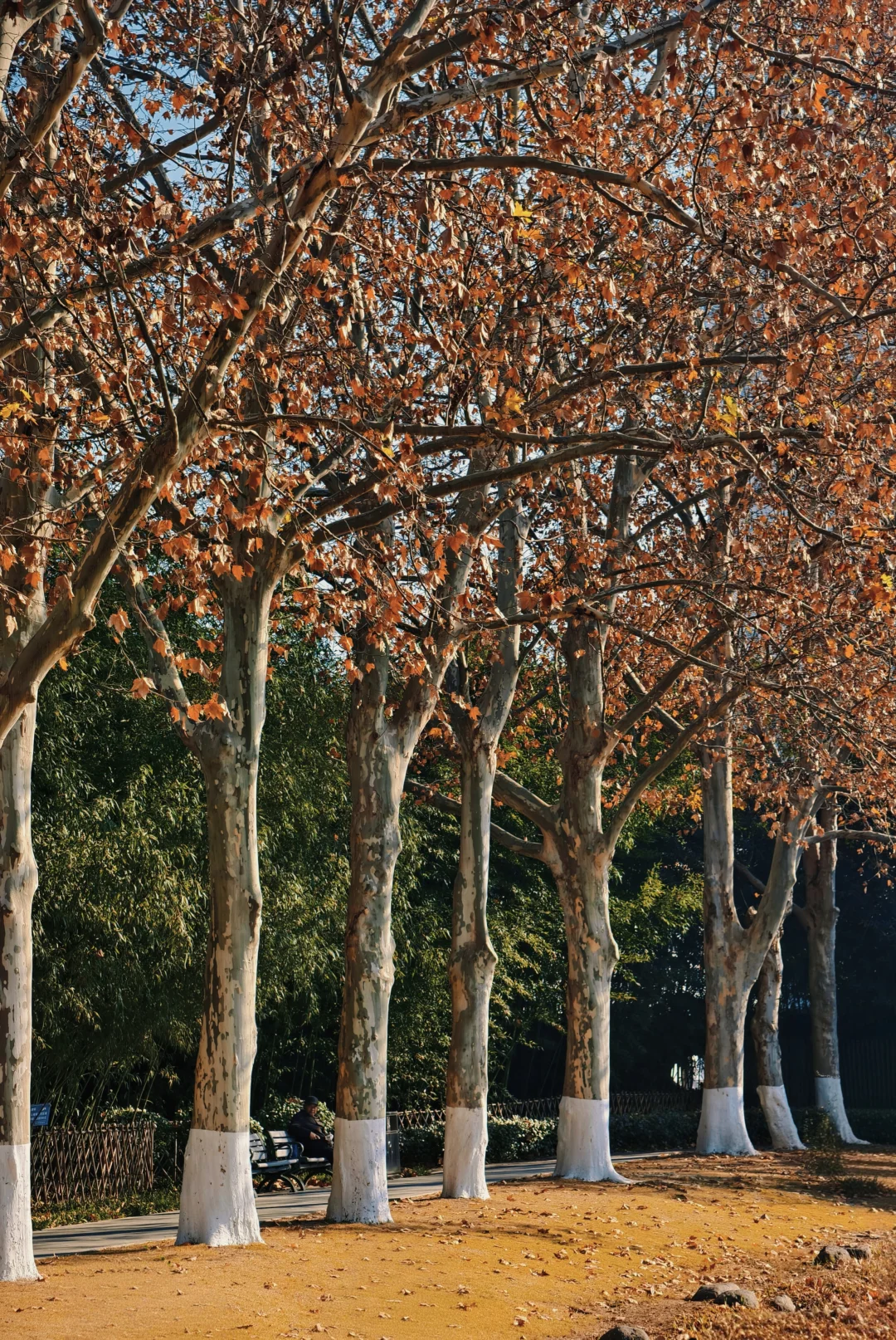 徐州老派公园的代表—云龙公园