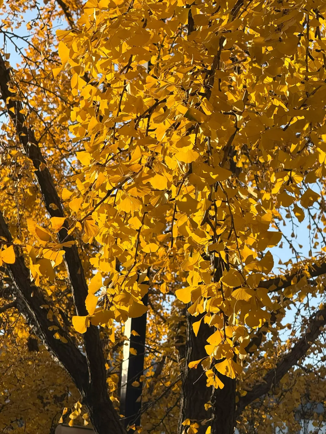 蘇州 下次还来！！