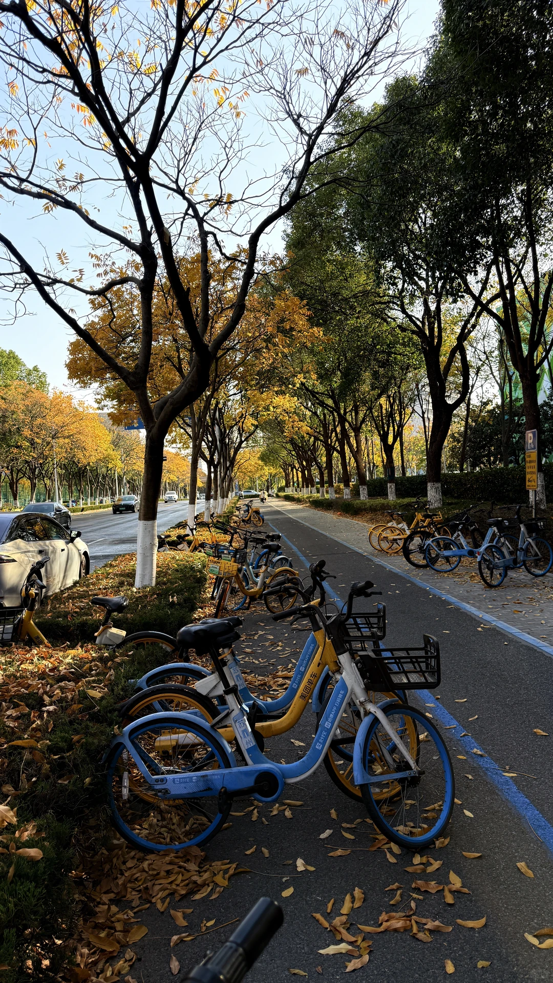 苏州冷了才想回海南了