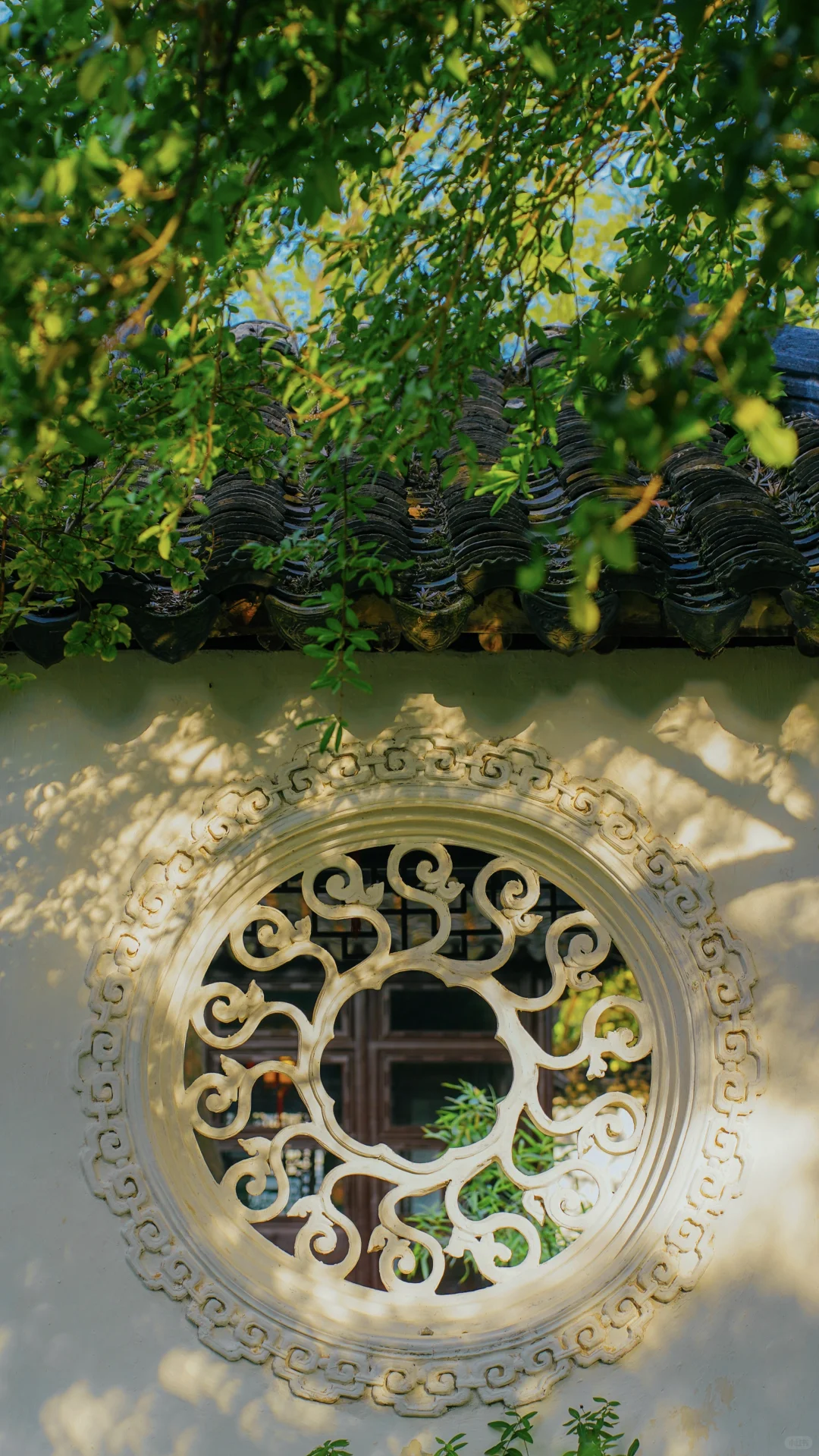 永远惊叹于老祖宗骨子里不灭的极致审美！！