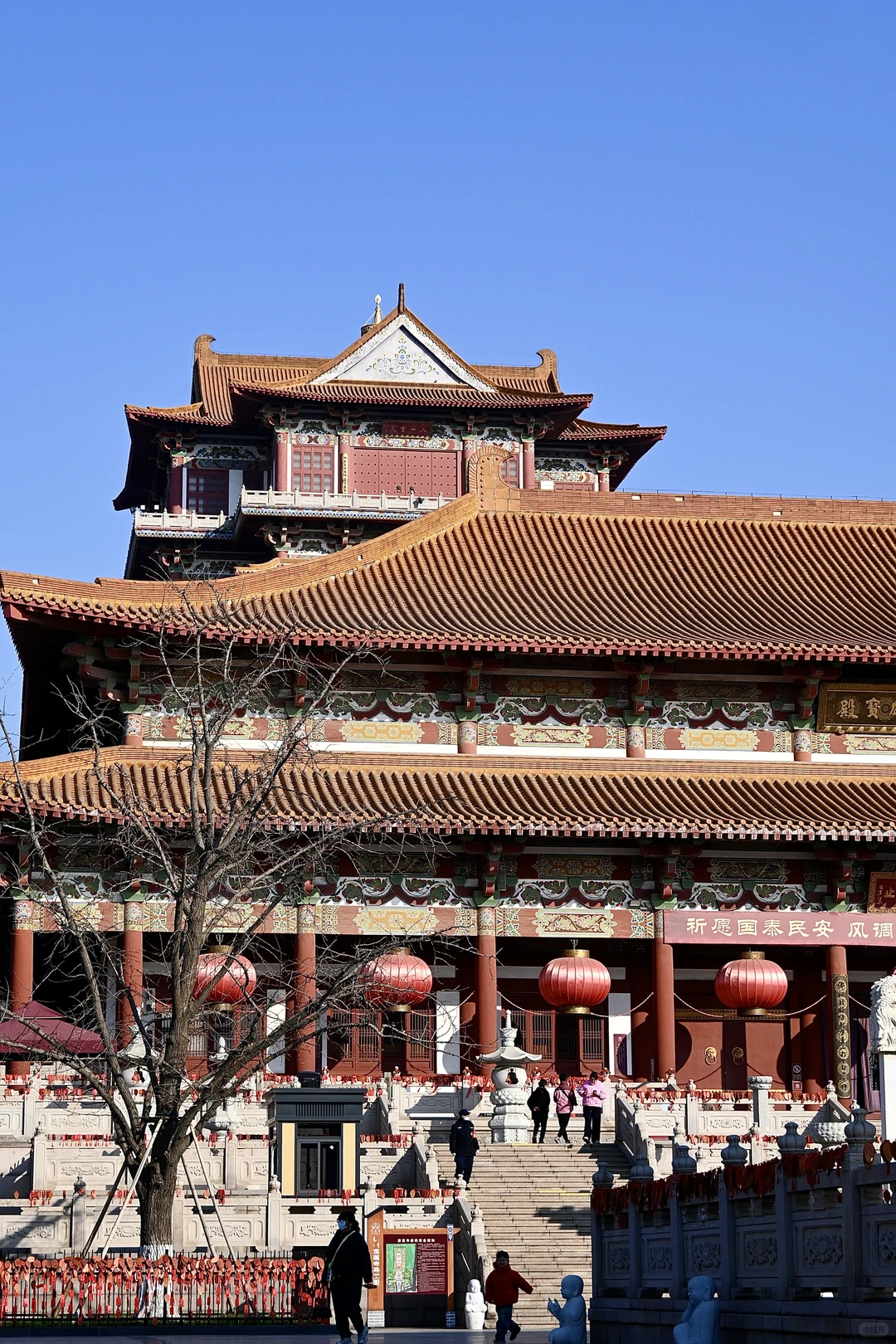 土木研究生出离北京计划（12/50）📍徐州