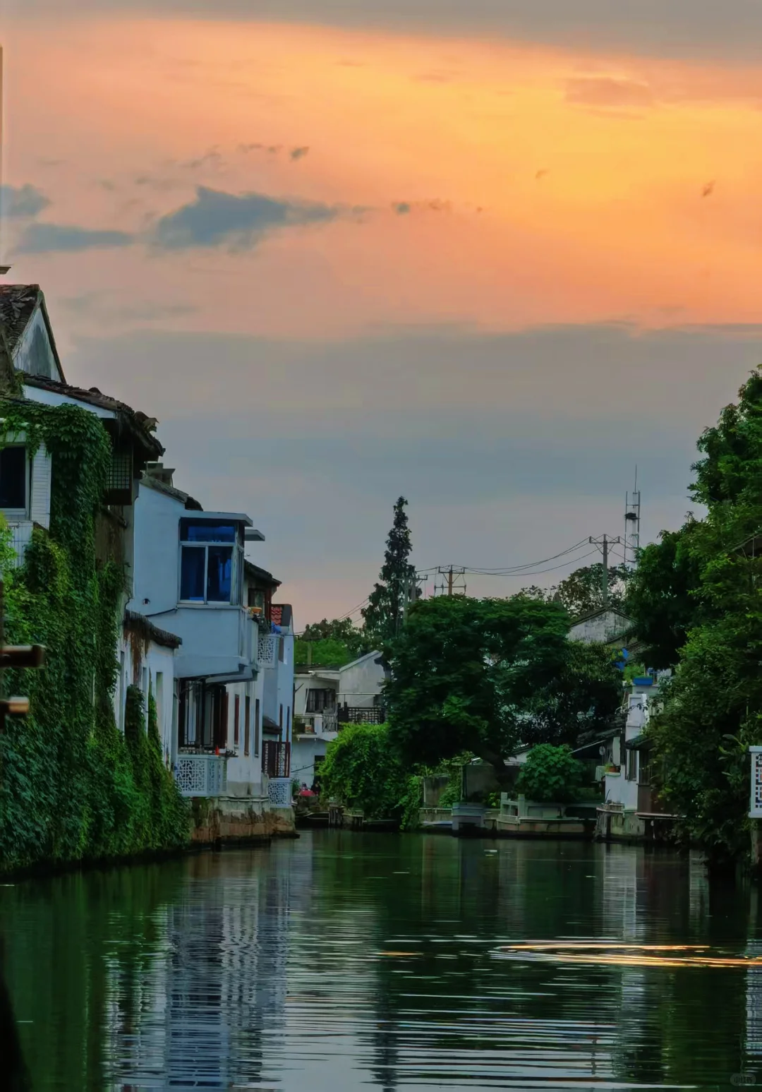 江南春｜“一朝入姑苏,满眼是江南”