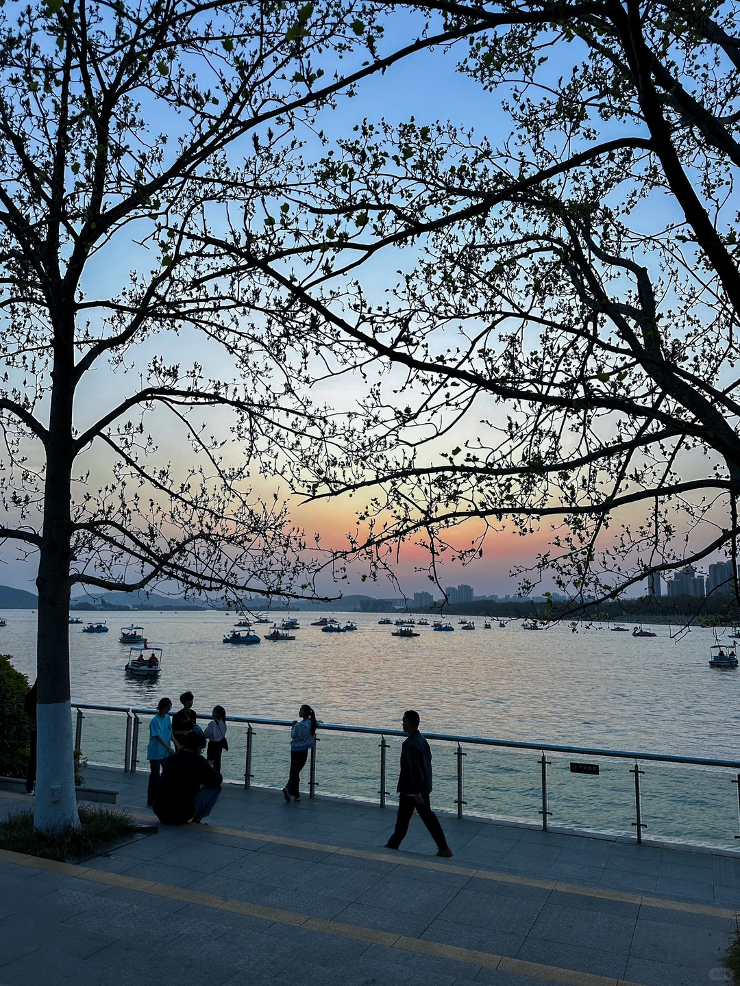 徐州是一场巨大的lalaland。。。