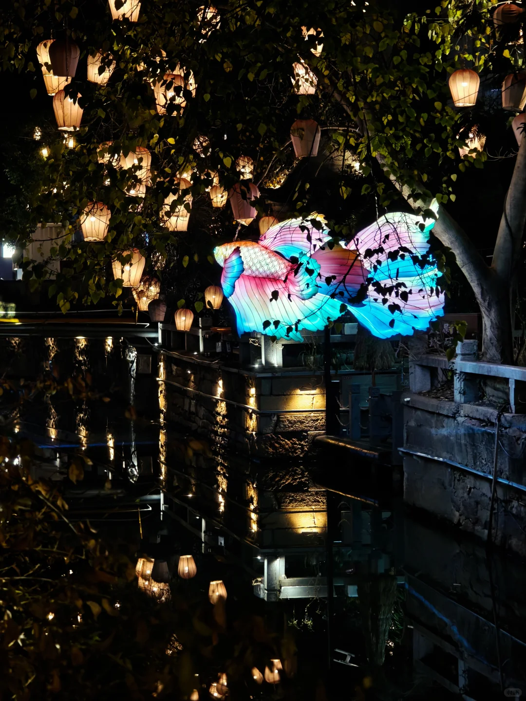 你们苏州人吃的也太好了