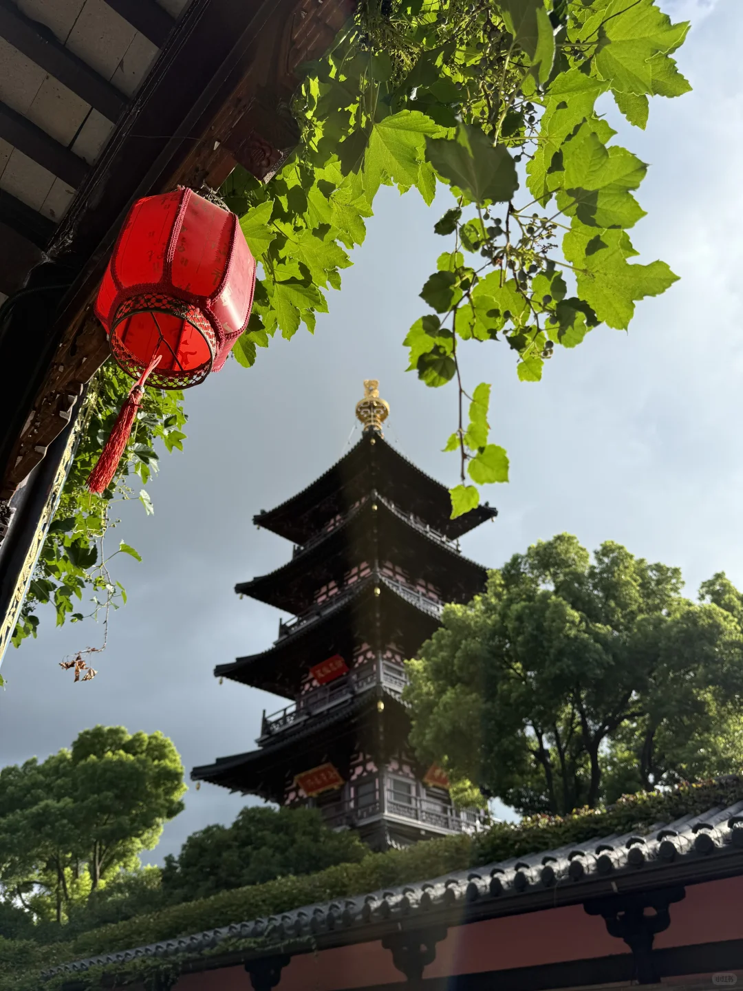 苏州｜📍姑苏城外寒山寺🎐雨后live图直出