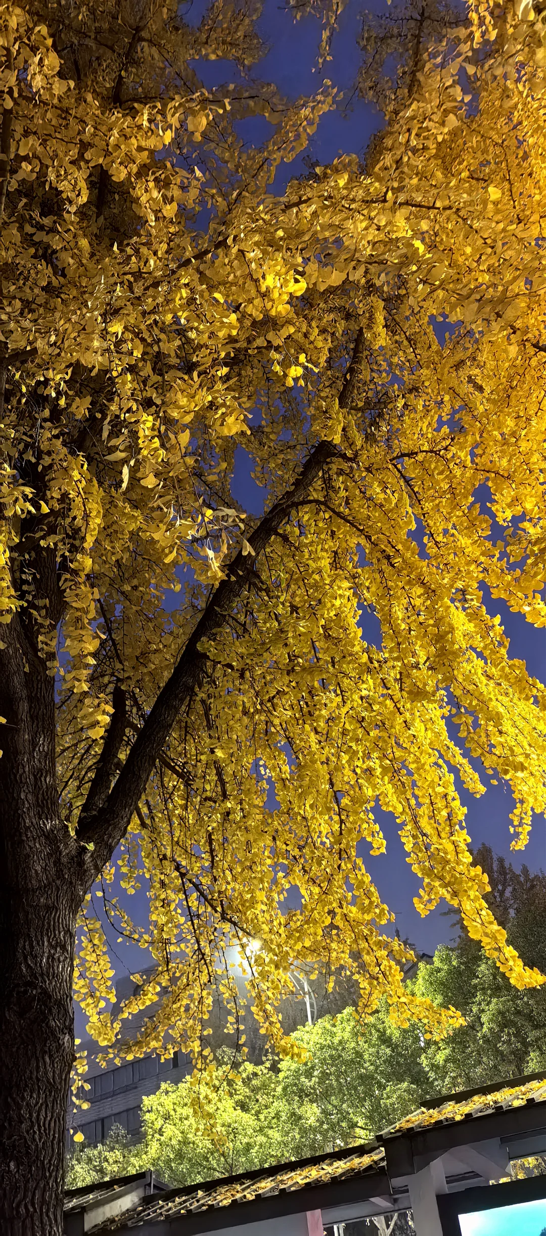 蘇州 下次还来！！