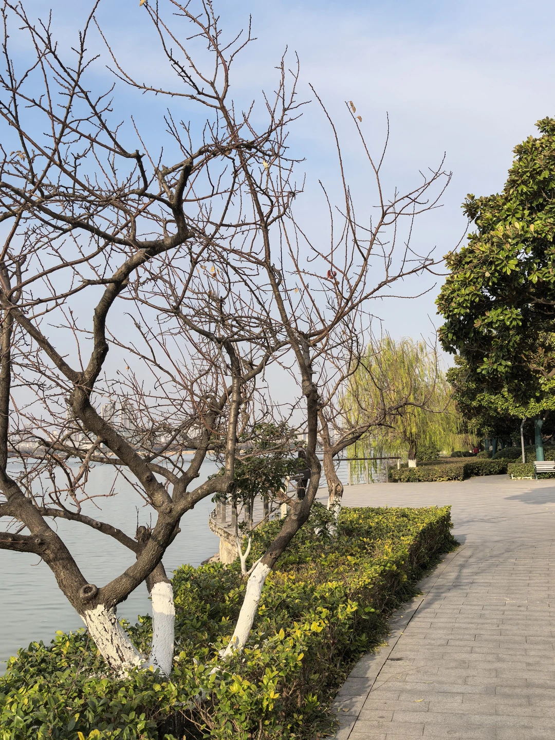 徐州云龙湖东岸