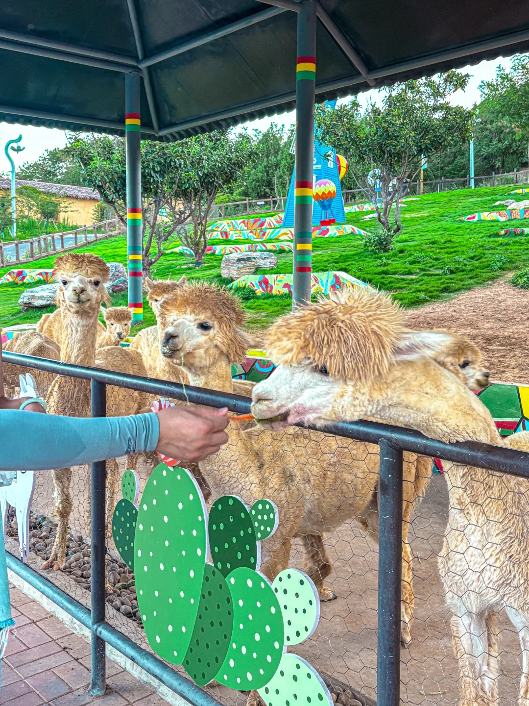 我宣布！这是徐州幸福指数蕞高的地方！！