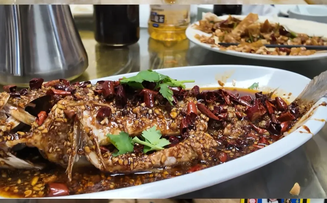 青岛—徐州周末30h 🍎live版