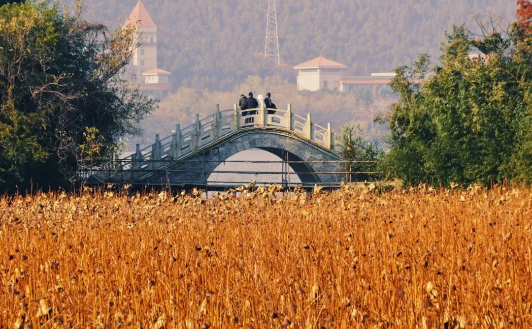 江苏徐州｜云龙湖公园🍁