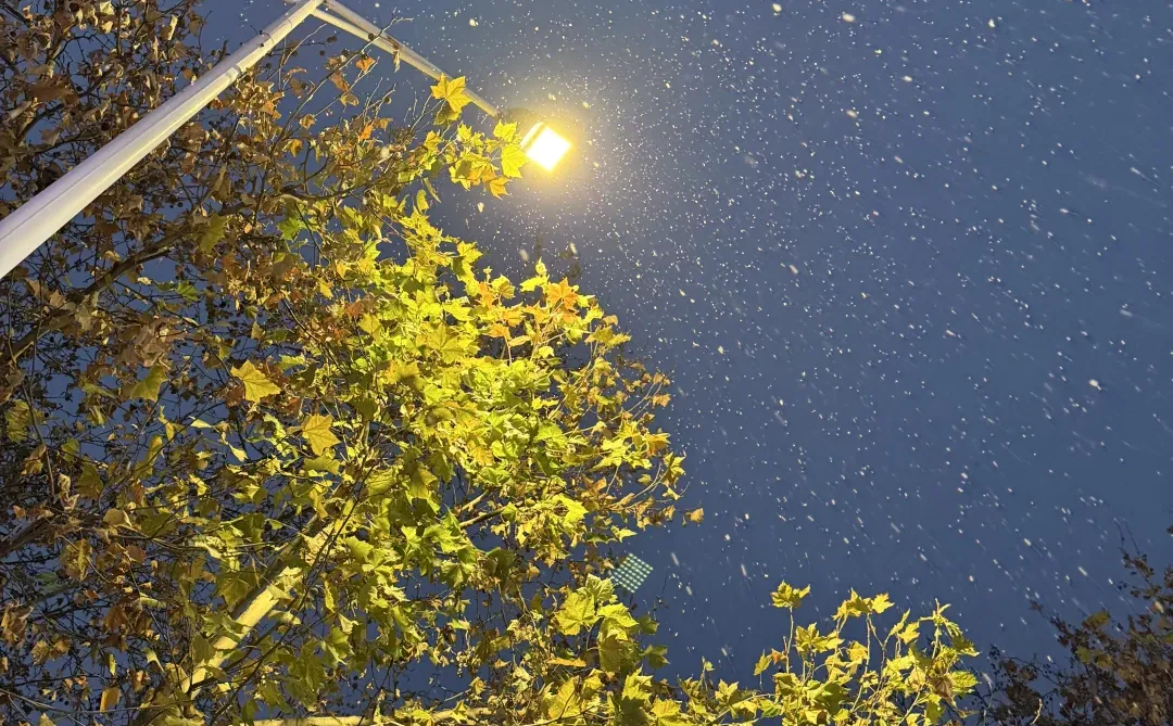 徐州的初雪❄️