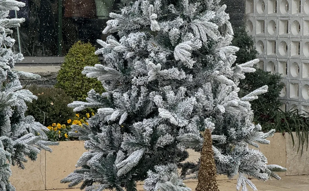 徐州这里的🎄氛围太出片了！