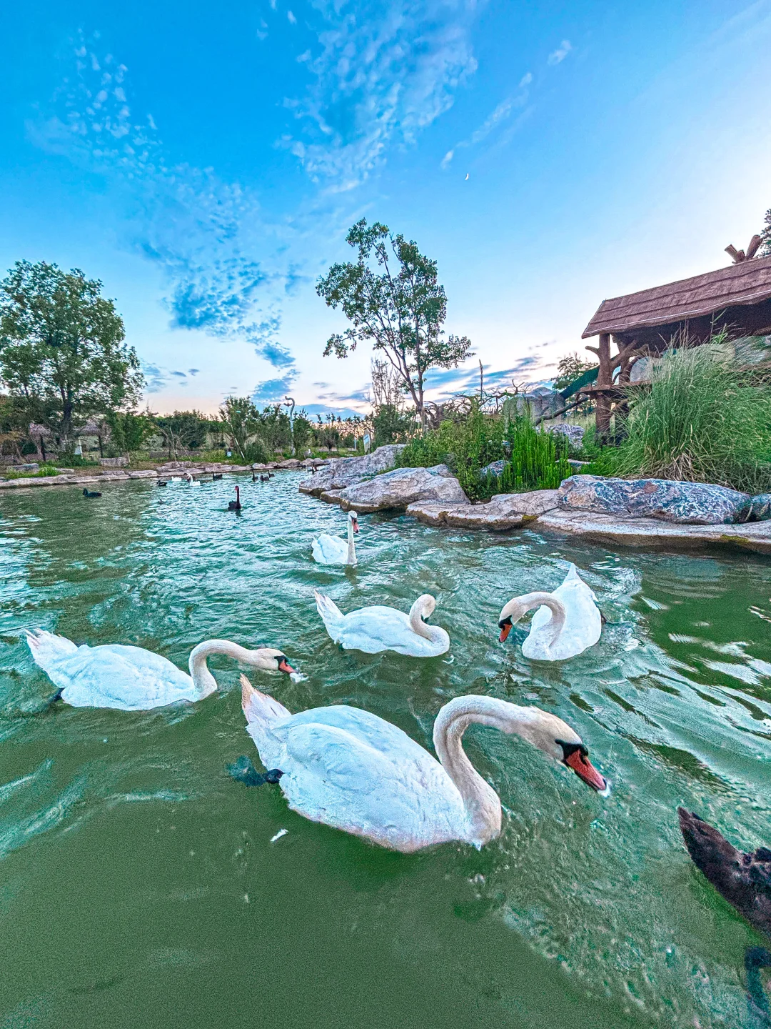 我宣布！这是徐州幸福指数蕞高的地方！！