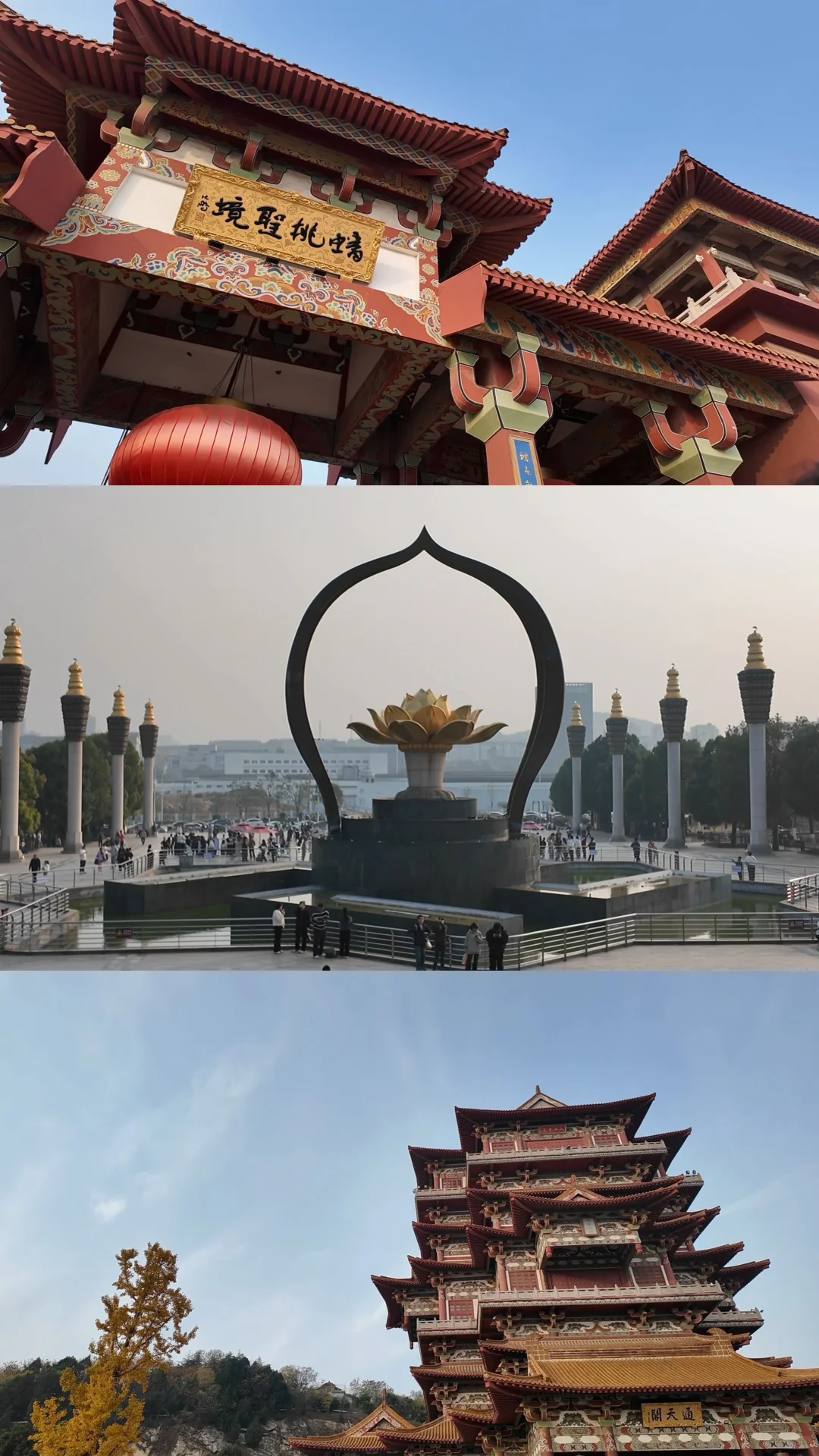 青岛—徐州周末30h 🍎live版