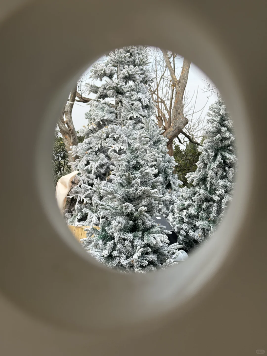 徐州这里的🎄氛围太出片了！