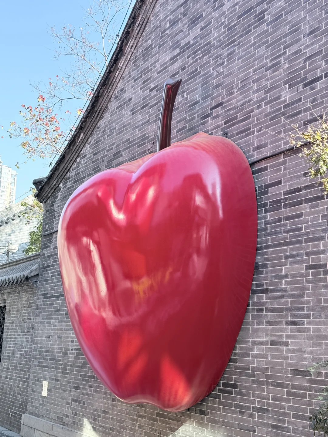 🍎 ᰔᩚᯓ 幸福的秘诀是 拥有苹果时只在意苹果