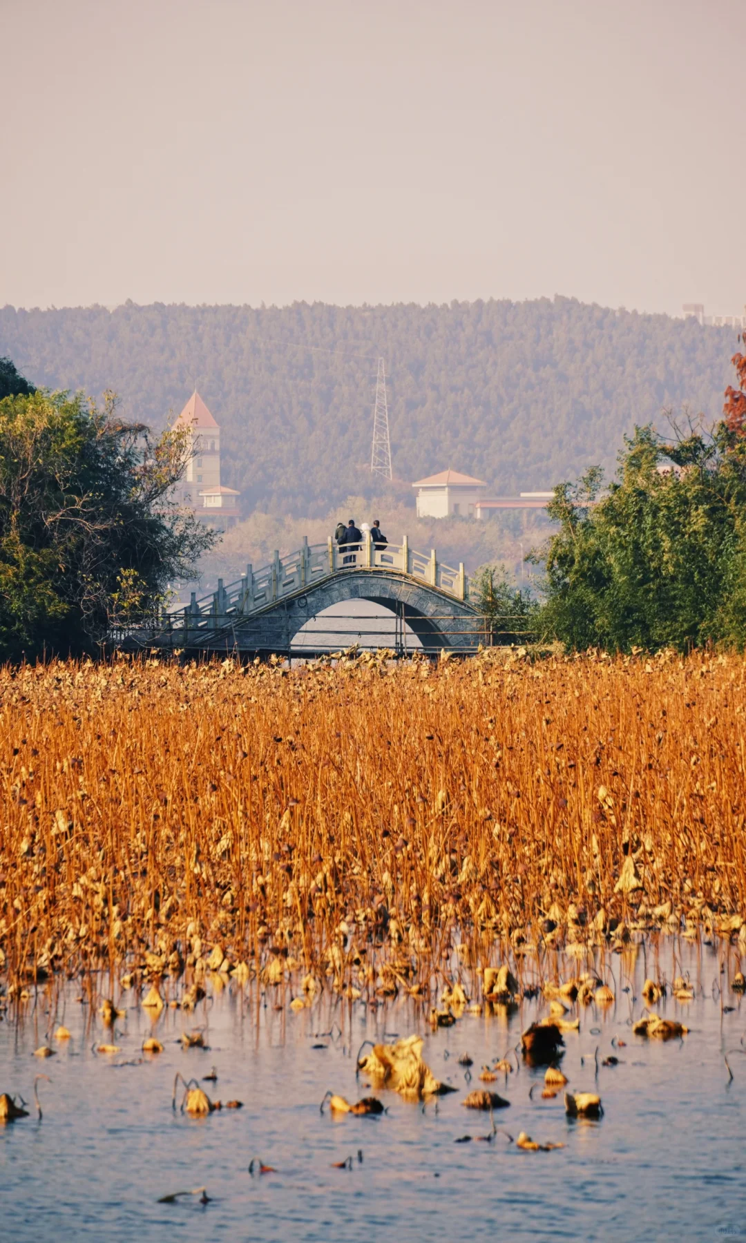 江苏徐州｜云龙湖公园🍁