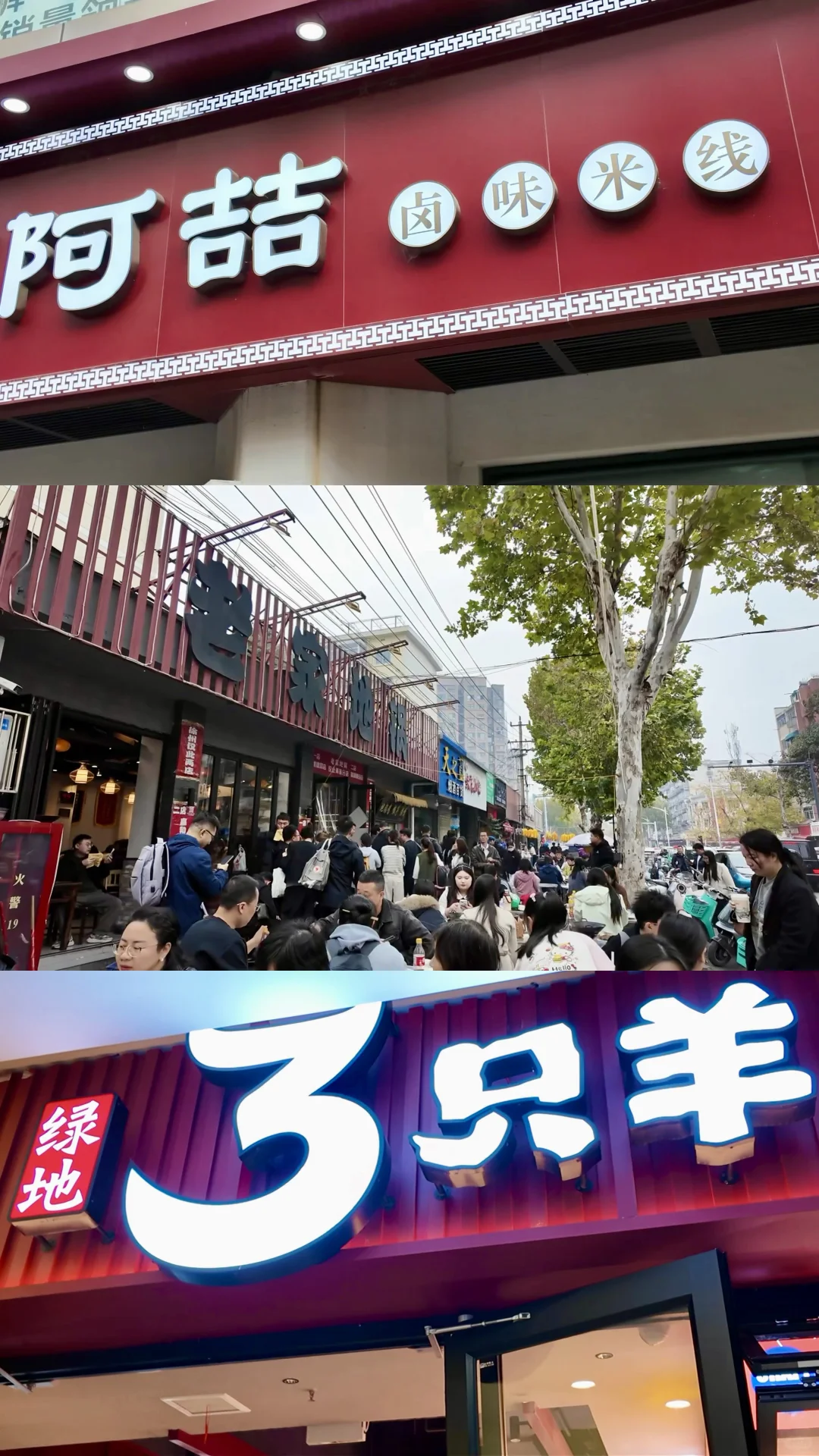 青岛—徐州周末30h 🍎live版