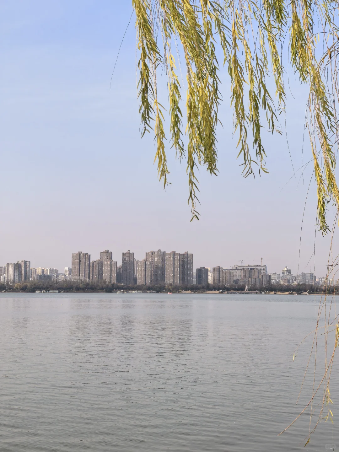 徐州云龙湖东岸