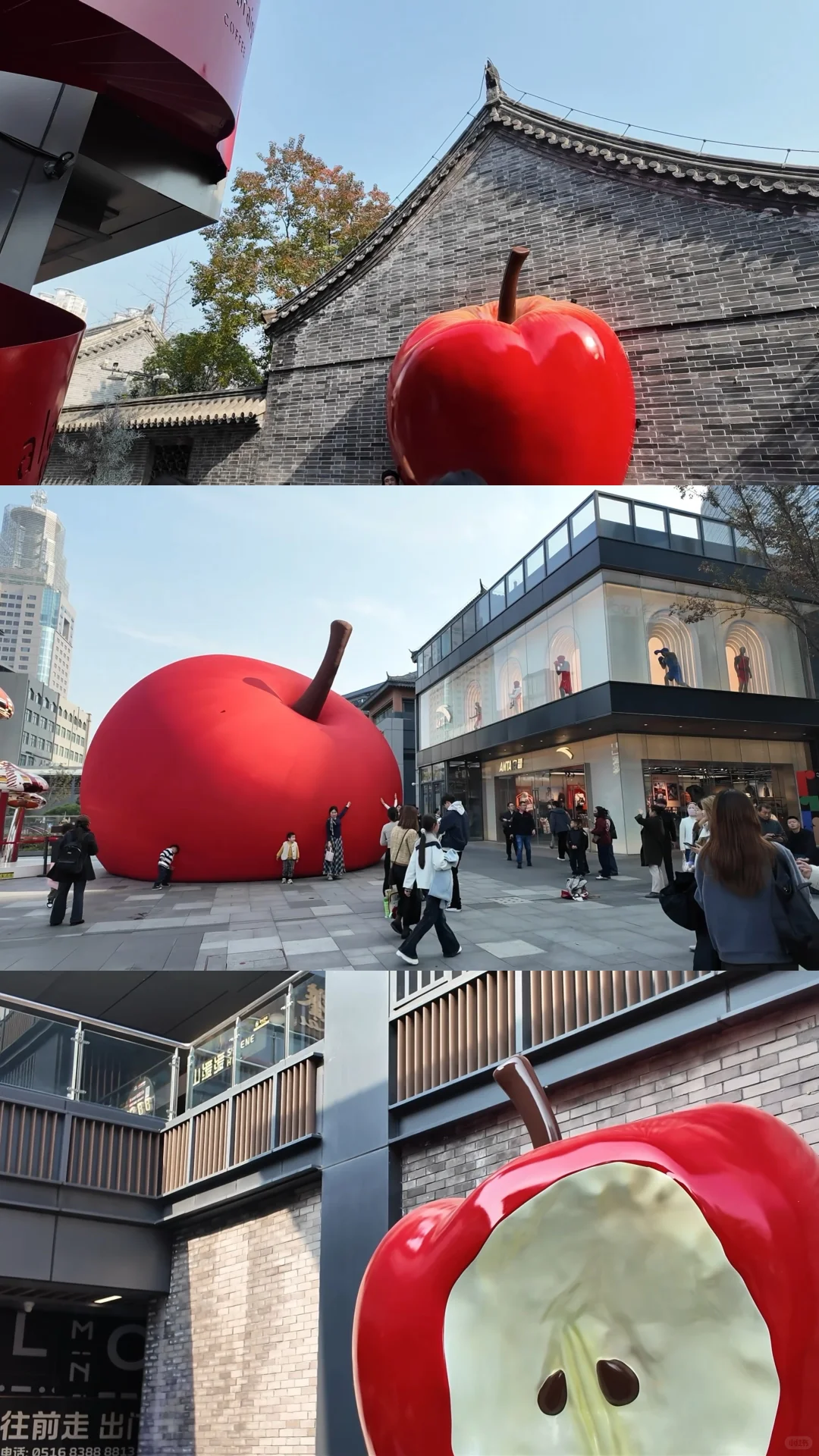 青岛—徐州周末30h 🍎live版