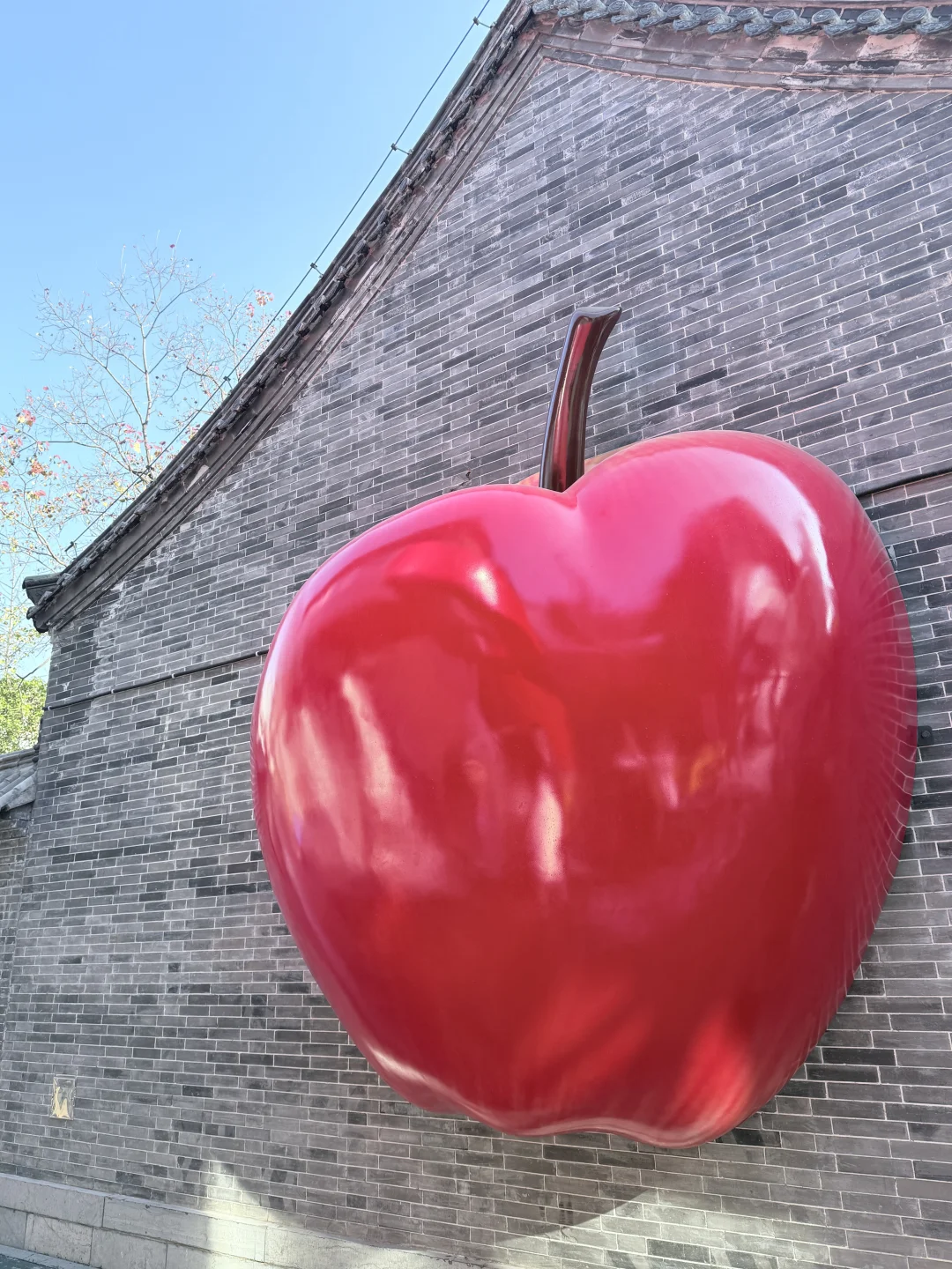 🍎 ᰔᩚᯓ 幸福的秘诀是 拥有苹果时只在意苹果