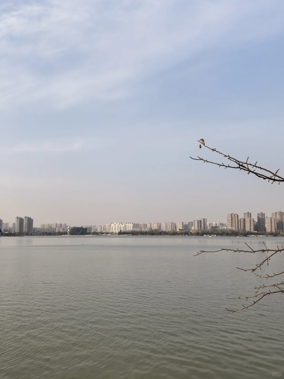 徐州云龙湖东岸