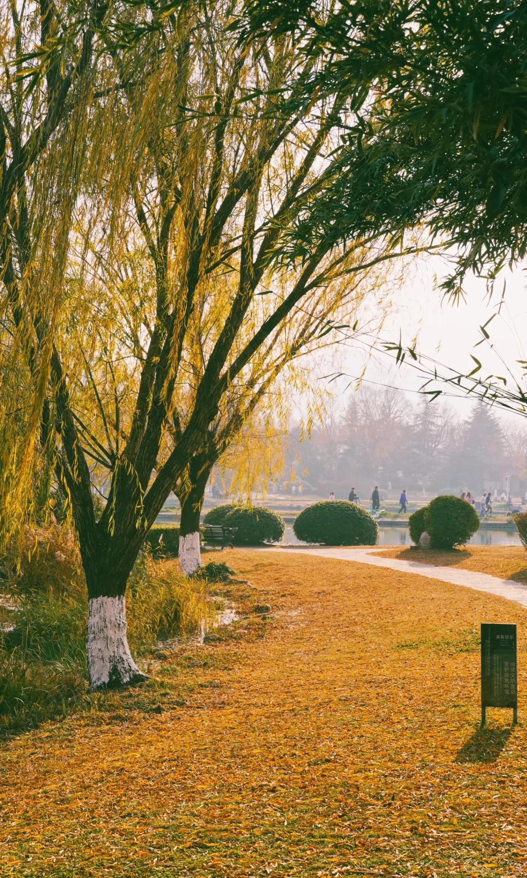 江苏徐州｜云龙湖公园🍁
