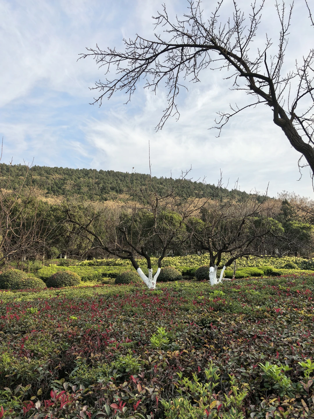 徐州云龙湖东岸