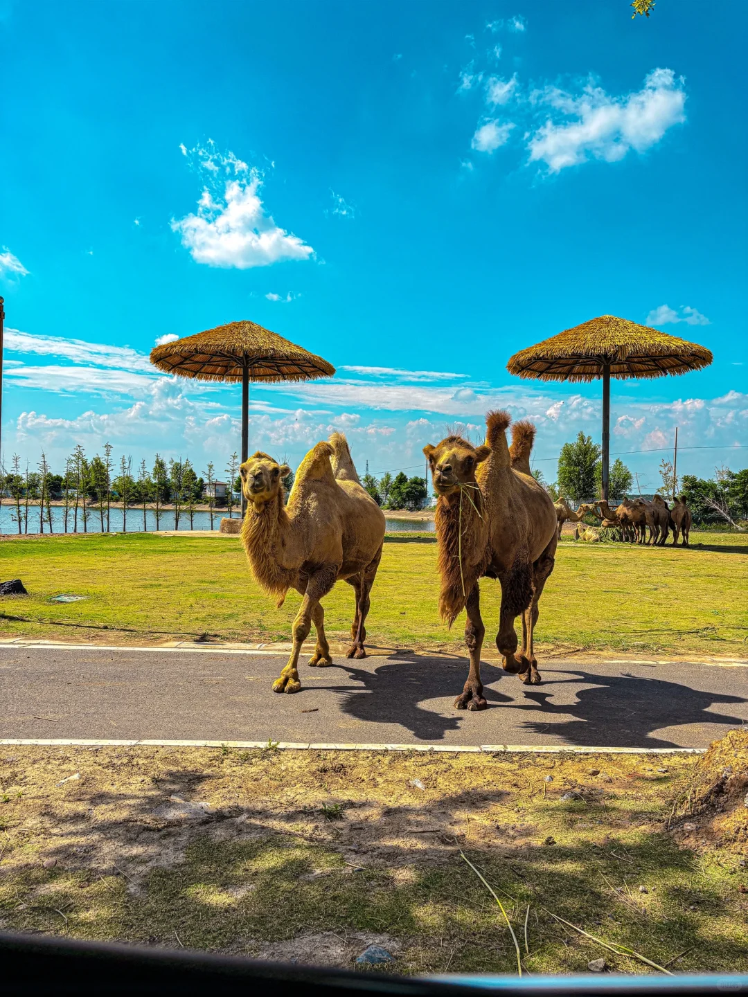 我宣布！这是徐州幸福指数蕞高的地方！！
