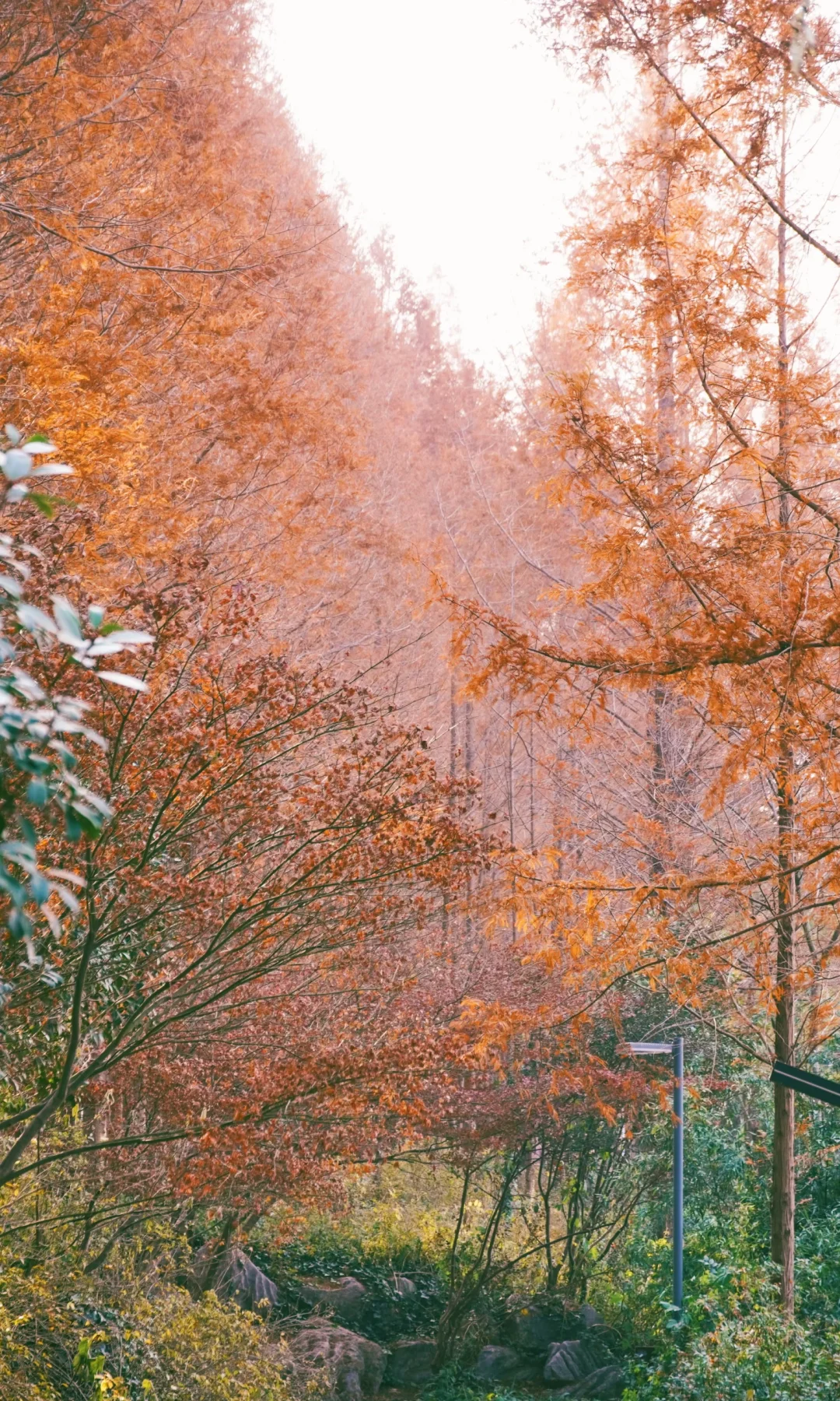 江苏徐州｜云龙湖公园🍁