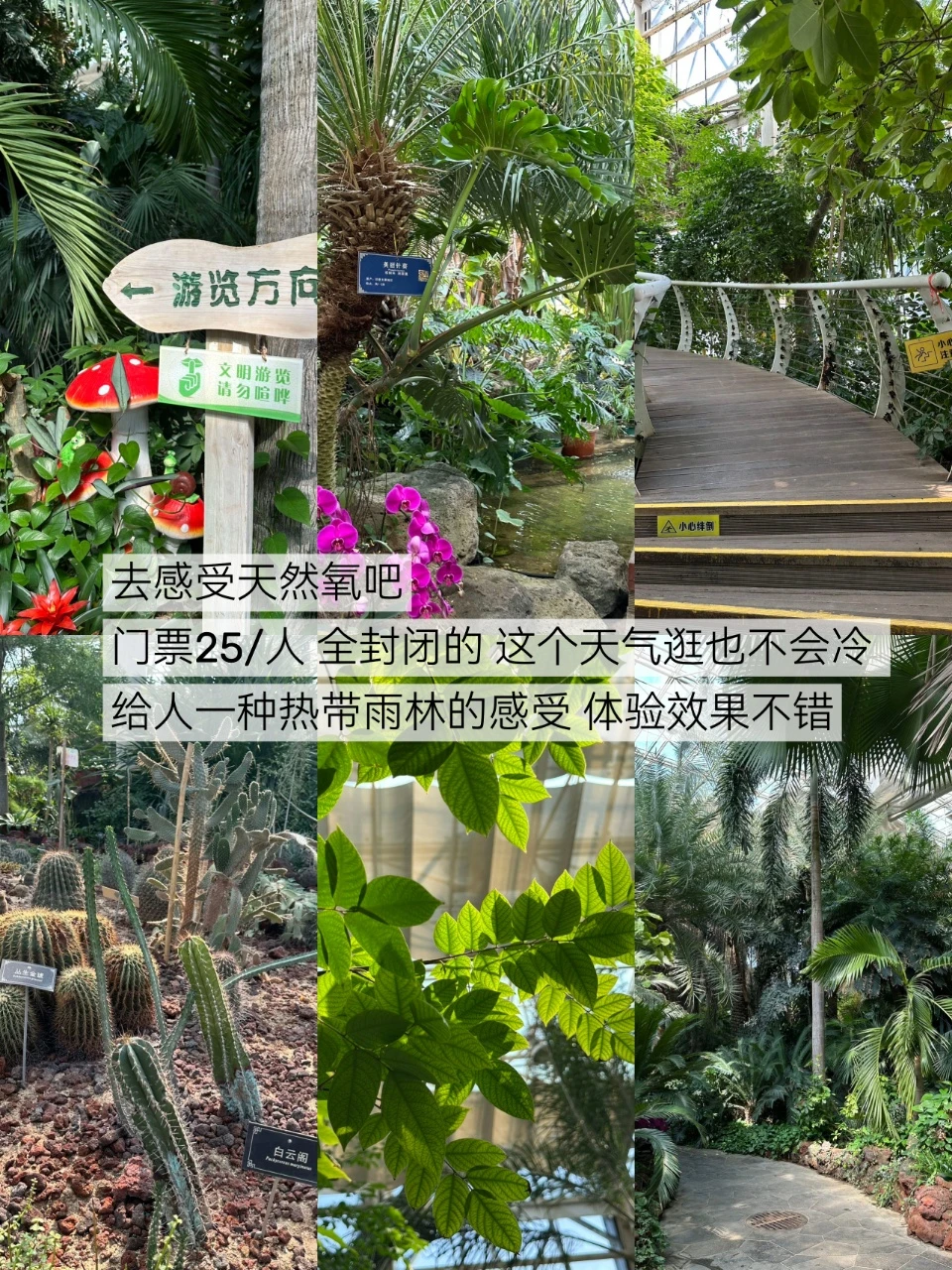 徐州两天一夜 不踩雷推荐（无广）