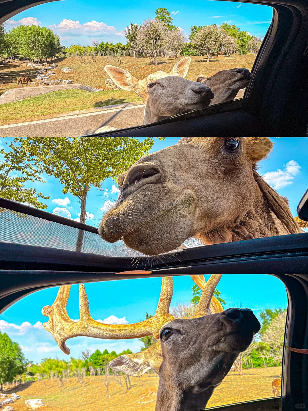 我宣布！这是徐州幸福指数蕞高的地方！！