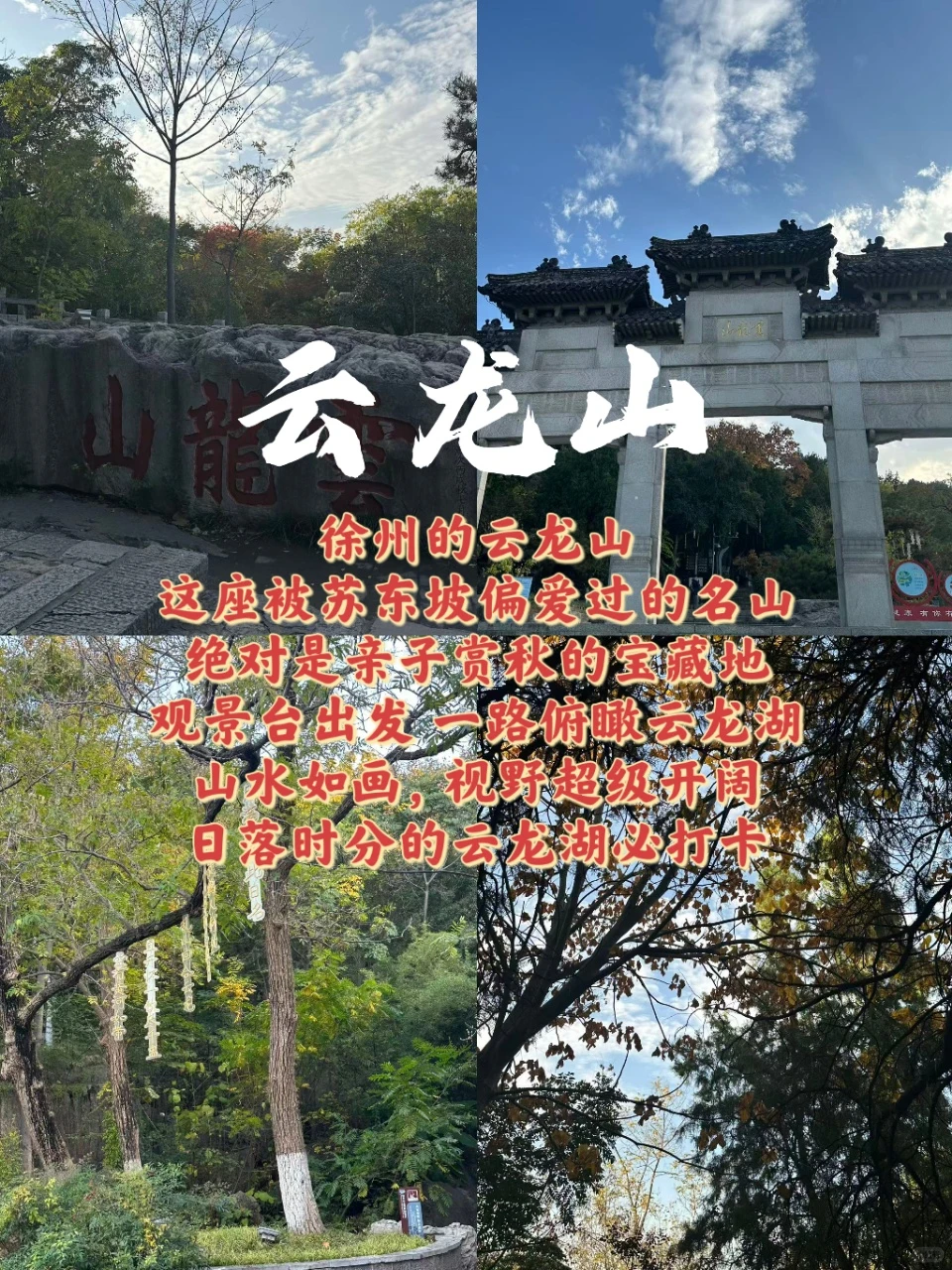 徐州已回🙂我的建议是....