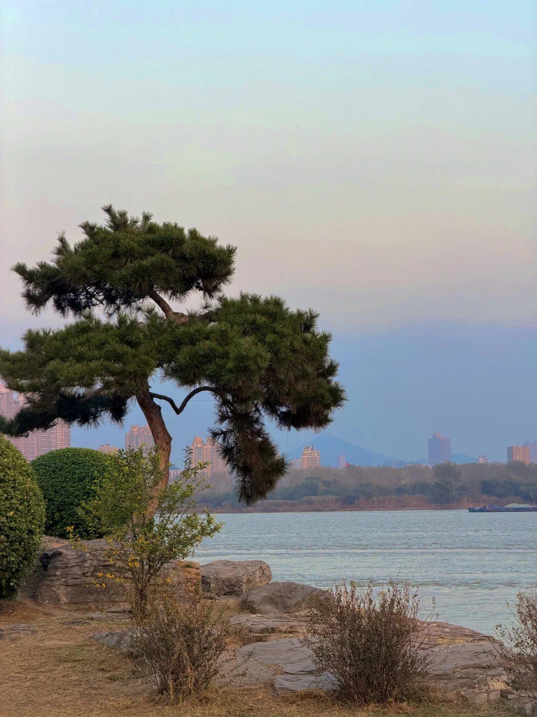 每个来南京的朋友 都会被我带来的地方…