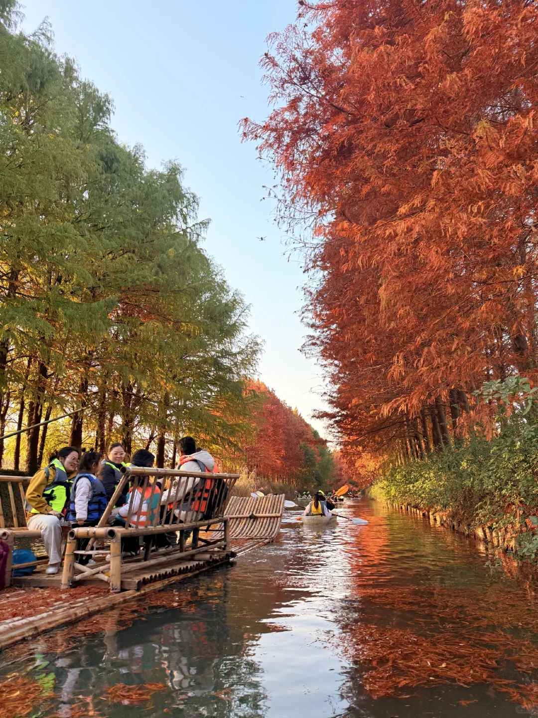12.14周末逃离上海之苏州虎丘湿地公园