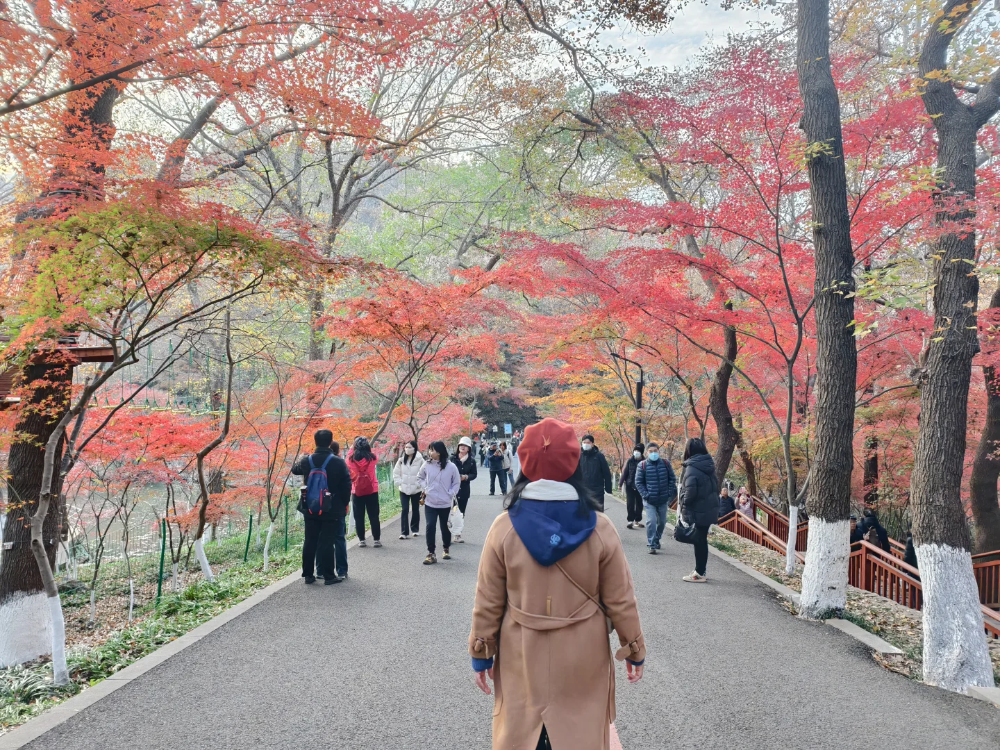 原来南京真的会让人有戒断反应！