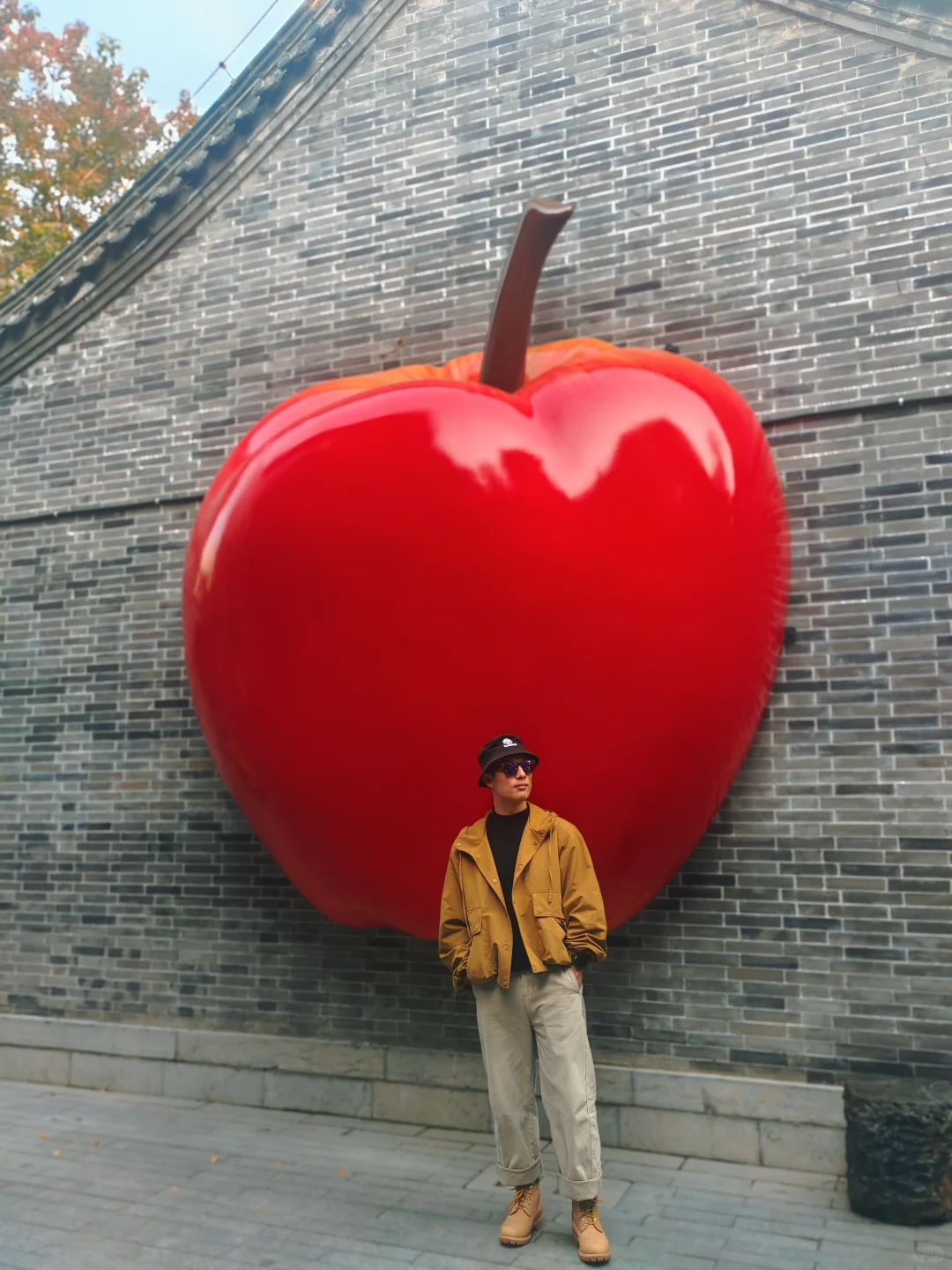 徐州旅游|徐州的大苹果🍎在文庙里？