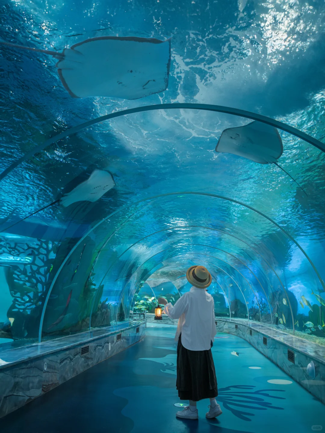 为了这扇窗，我特地去了趟徐州…