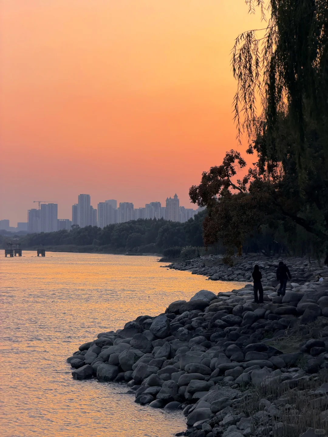 每个来南京的朋友 都会被我带来的地方…