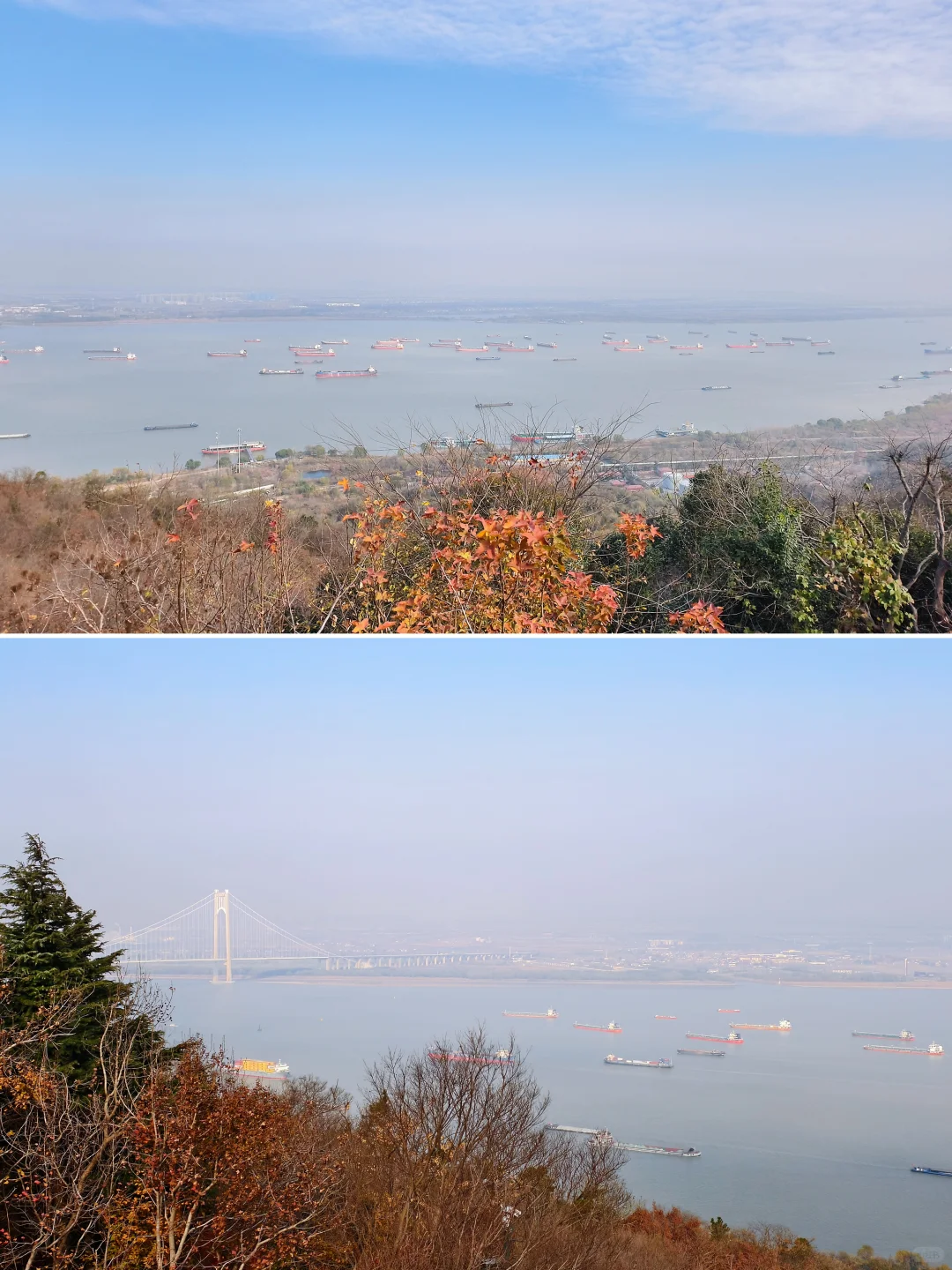 原来南京真的会让人有戒断反应！