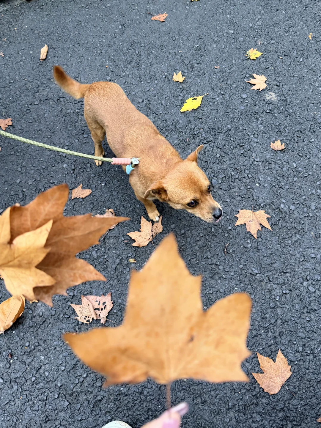 📍𝑵𝒂𝒏𝑱𝒊𝒏𝒈