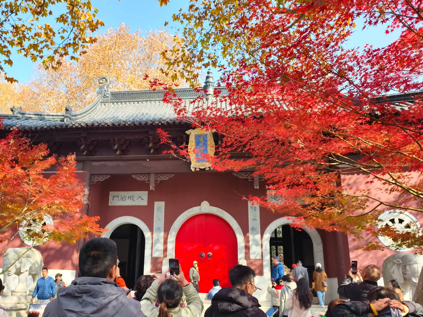 原来南京真的会让人有戒断反应！