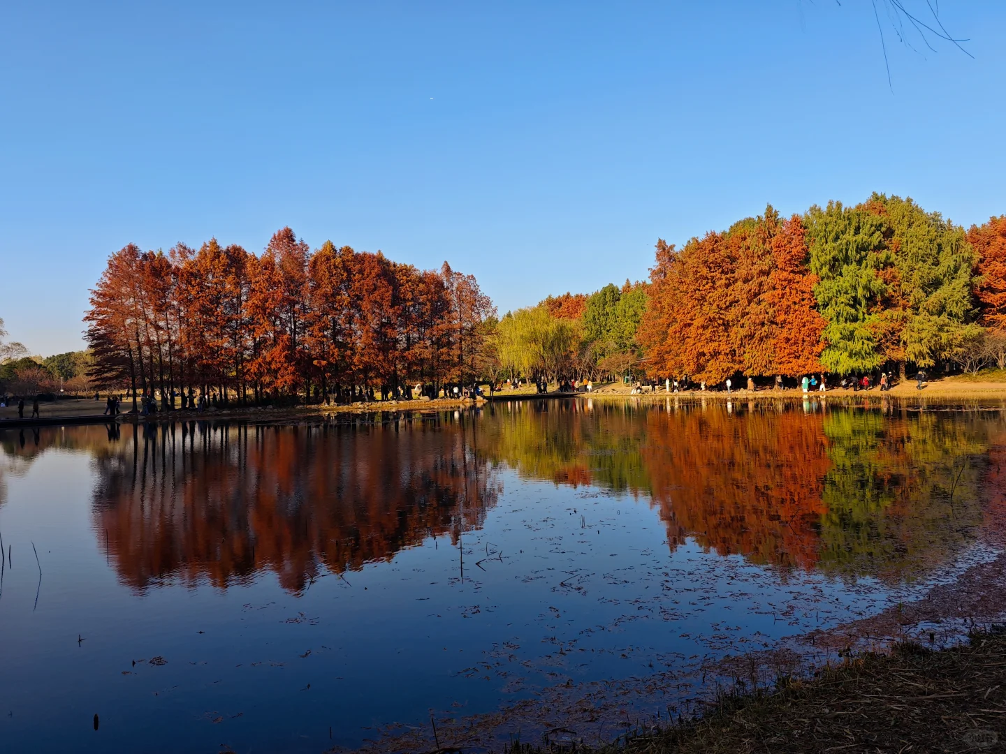 12.14周末逃离上海之苏州虎丘湿地公园