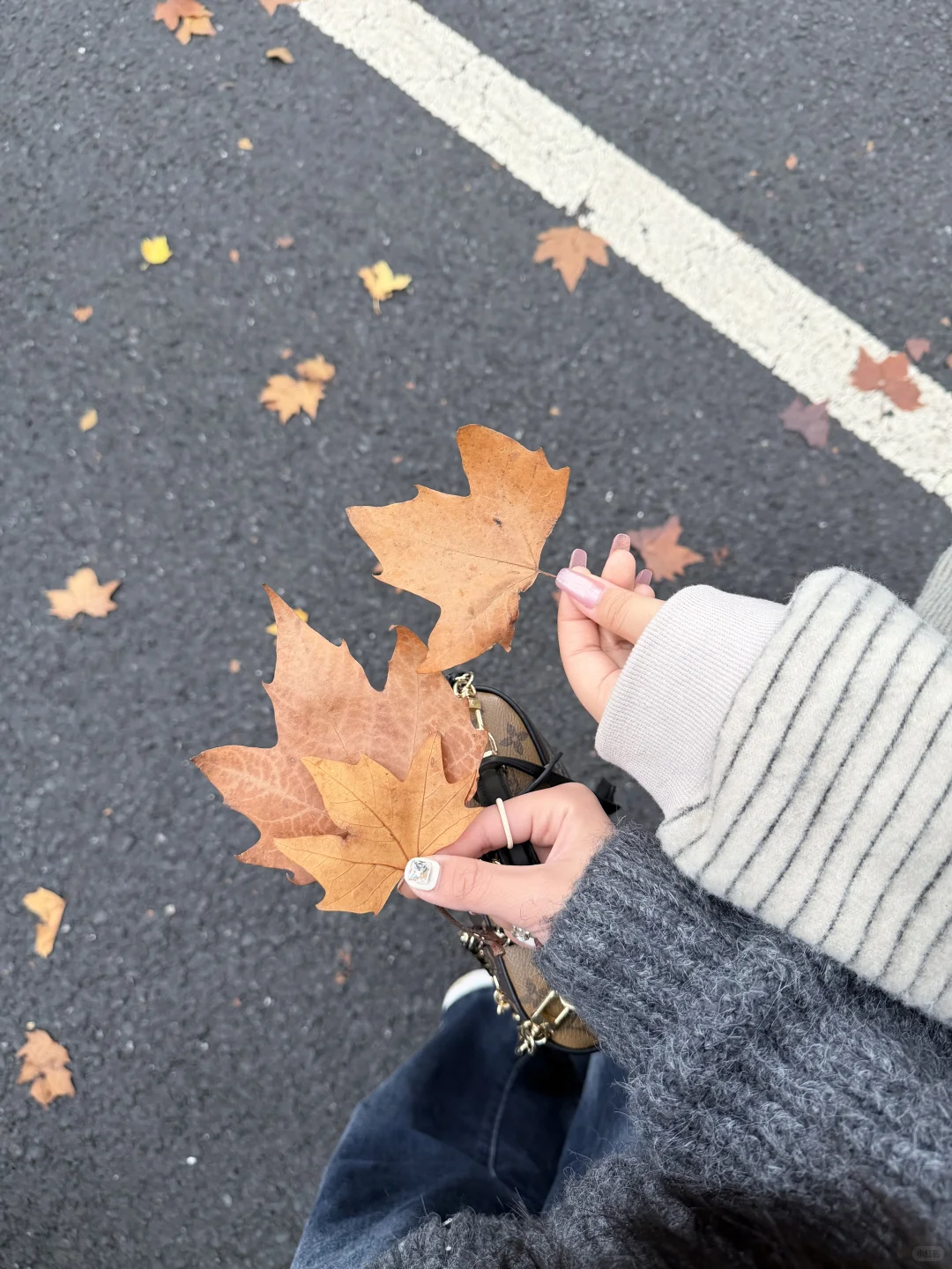 📍𝑵𝒂𝒏𝑱𝒊𝒏𝒈