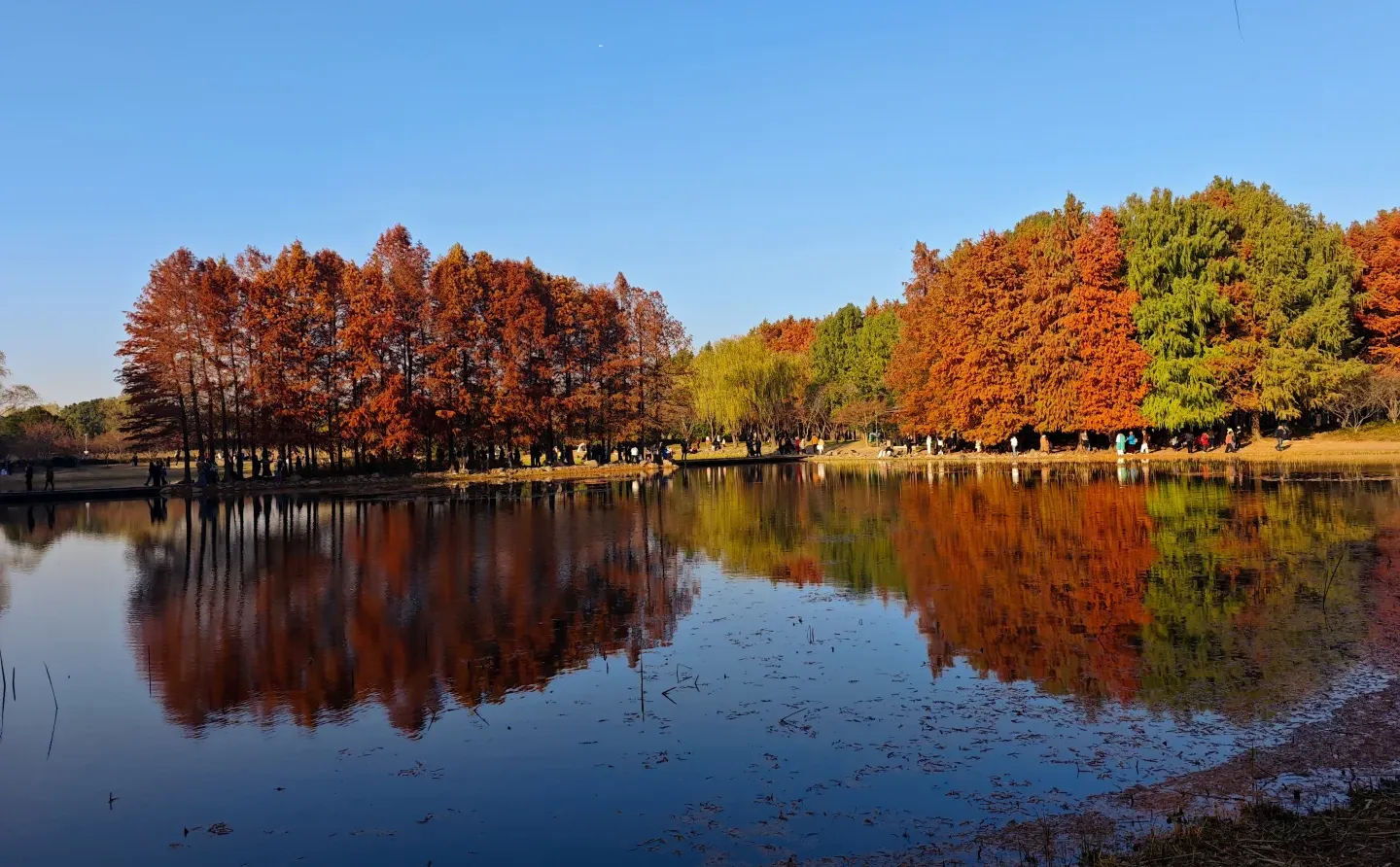 12.14周末逃离上海之苏州虎丘湿地公园