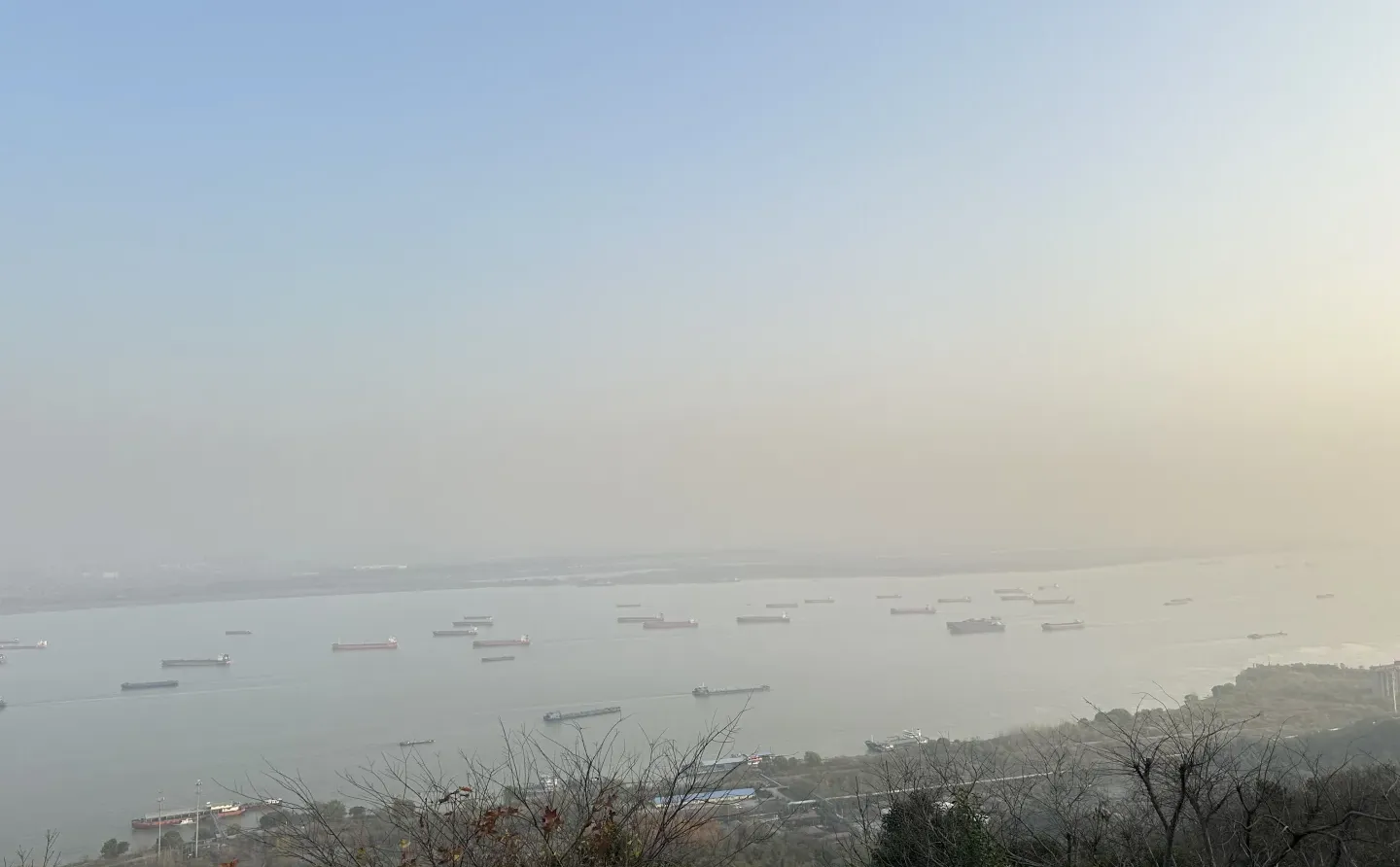 12月实况！南京的深秋真的美疯了！！