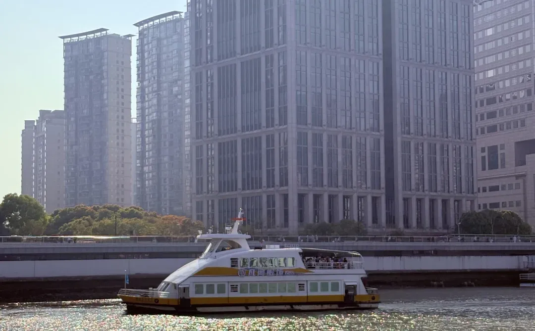 🔥3天2晚暴走江浙沪3城｜南京➡苏州➡上海夜色