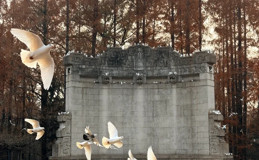 12.12音乐台实况图